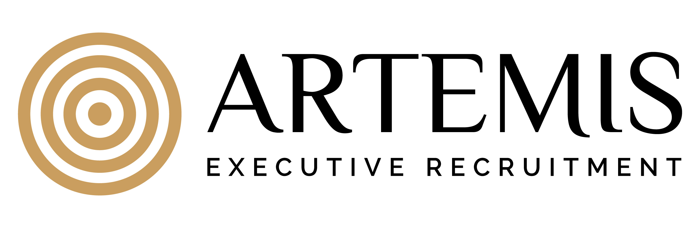 Artemis Executive Recruitment6 01 v15