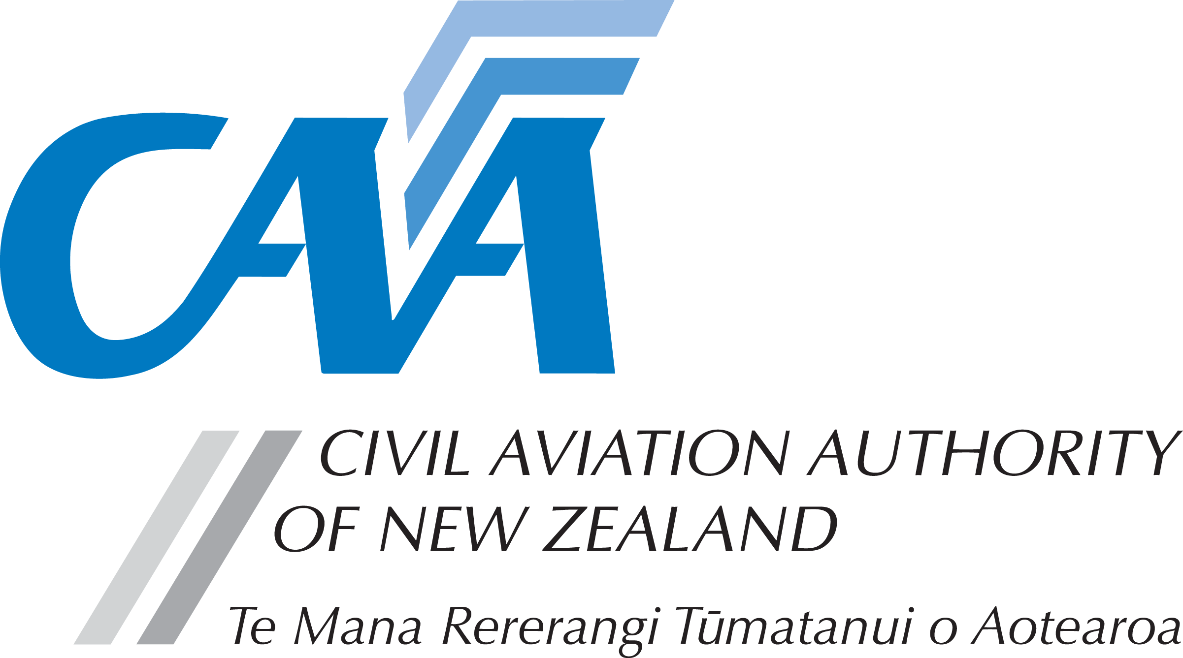 caa full logo colour